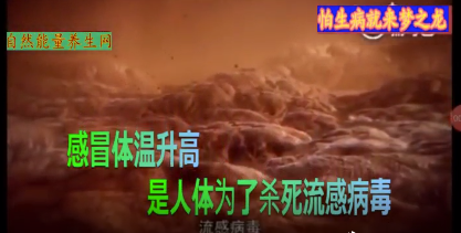 感冒体温升高，是人类为了杀死流感病毒.png