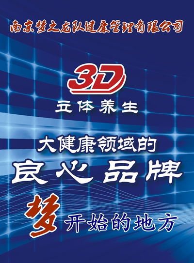 南京梦之龙队职责